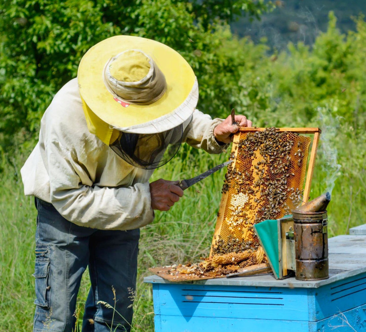 Organic Honey